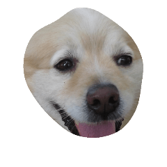 [LINEスタンプ] Doggoge