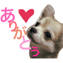 [LINEスタンプ] Rara...2