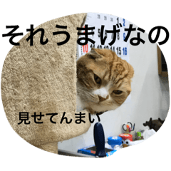 [LINEスタンプ] 諭吉とねこズ