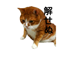 [LINEスタンプ] もちめる