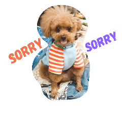 [LINEスタンプ] Toy poodle_Puramu