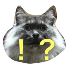 [LINEスタンプ] ヨゴレちゃん