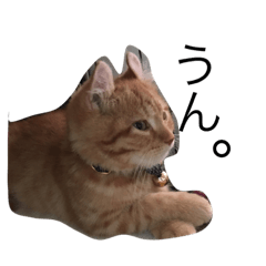 [LINEスタンプ] きなくんスタンプ2