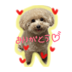 [LINEスタンプ] 愛しのひなたん