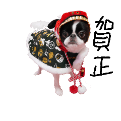 [LINEスタンプ] Pooh is Japanesechin2.