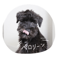 [LINEスタンプ] ムイスタンプ1