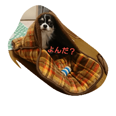 [LINEスタンプ] leo Winter
