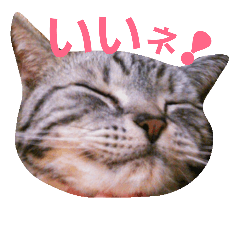 [LINEスタンプ] でんろく