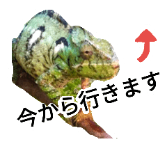[LINEスタンプ] Haruo family