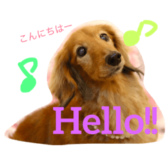 [LINEスタンプ] 晴ハウス2