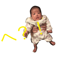 [LINEスタンプ] ひまちゃんだおだお