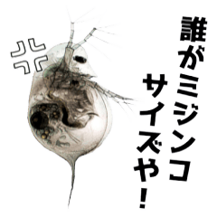 [LINEスタンプ] 微生物の実写スタンプ