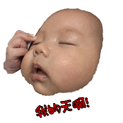 [LINEスタンプ] Ann Tu