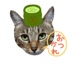 [LINEスタンプ] 猫の寅次郎くん。vol.2