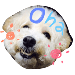 [LINEスタンプ] りっちもっち