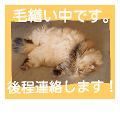 [LINEスタンプ] 大人のビジネス用語