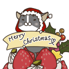 [LINEスタンプ] Chihua-dog-Christmas