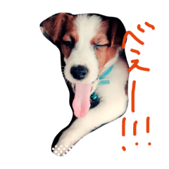 [LINEスタンプ] ジャックダニエル