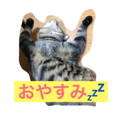 [LINEスタンプ] むぎ ちゃん SP