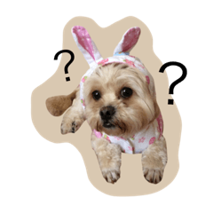 [LINEスタンプ] dog_memeko2の画像（メイン）