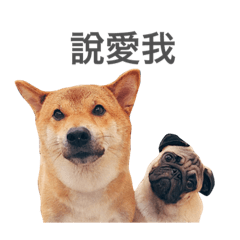 [LINEスタンプ] Badoyao 1.0の画像（メイン）