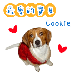 [LINEスタンプ] The cute baby "Cookie"