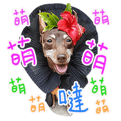 [LINEスタンプ] Little P Dog - 4