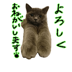 [LINEスタンプ] Rally＆Ruby