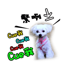 [LINEスタンプ] Cookie Playの画像（メイン）