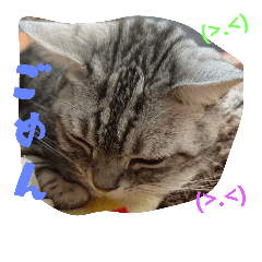 [LINEスタンプ] 紫音くんです