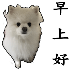 [LINEスタンプ] pet_name_doldol