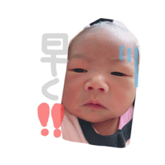 [LINEスタンプ] 湊叶の画像（メイン）