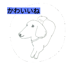 [LINEスタンプ] DOG CUTE16