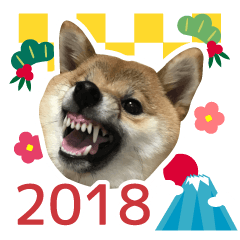 [LINEスタンプ] 柴犬のナナ ver.3 戌年は主役です！