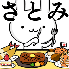 [LINEスタンプ] 無難に使う☆さとみ☆サトミ☆ウサギ