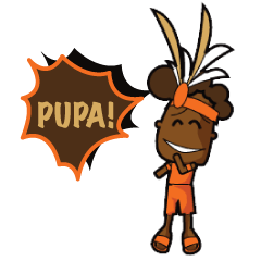 [LINEスタンプ] Pupa Papua