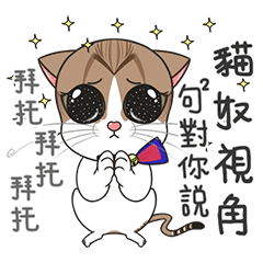 [LINEスタンプ] Perspective Of Ailurophile- Cats for You