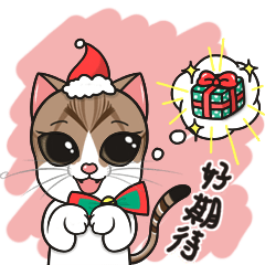 [LINEスタンプ] Christmas And New Year With Cats TWNの画像（メイン）