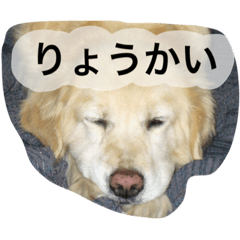 [LINEスタンプ] ファンラム2の画像（メイン）