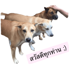 [LINEスタンプ] Temple Animals