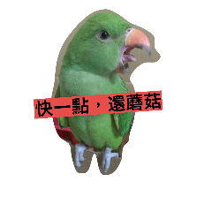 [LINEスタンプ] Pet Pet Pets