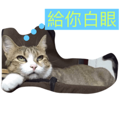 [LINEスタンプ] Smelly cat money expression package