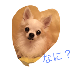 [LINEスタンプ] 可愛い宝物のビギーの画像（メイン）