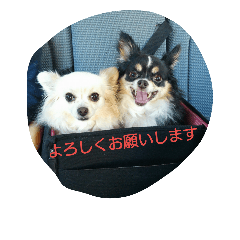 [LINEスタンプ] ふぅぽぉつぅお仕事編1