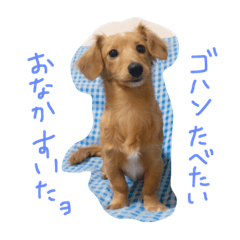 [LINEスタンプ] moca of mix.の画像（メイン）