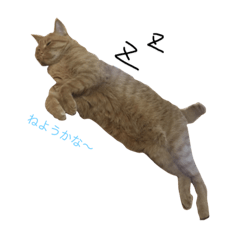 [LINEスタンプ] tora stanpdesu