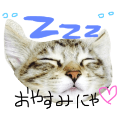 [LINEスタンプ] ねこのオラフ