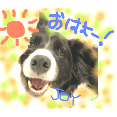 [LINEスタンプ] JOYMOA