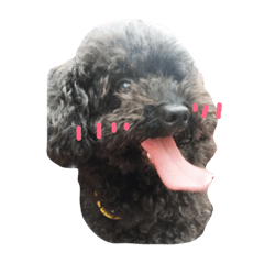 [LINEスタンプ] my dog a wu