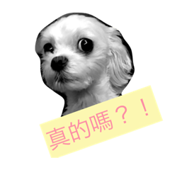 [LINEスタンプ] Mantou girl